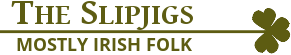 The Slip Jigs Irish Folk Band